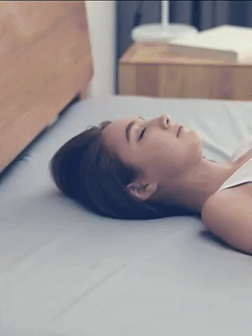 Cushion Back Support Pillow