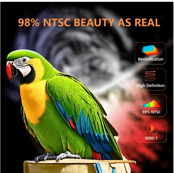 LED - Source Multimedia Projector ©